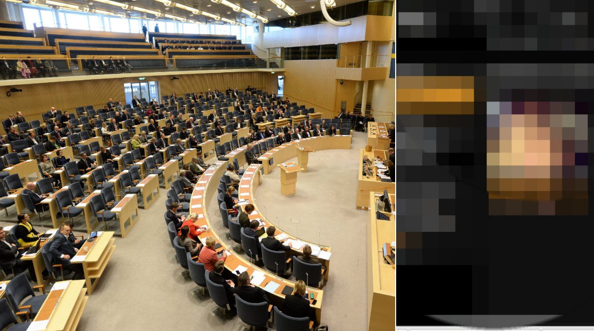 Uthängd, Porrsajt, Sexvideo, Riksdagsledamot